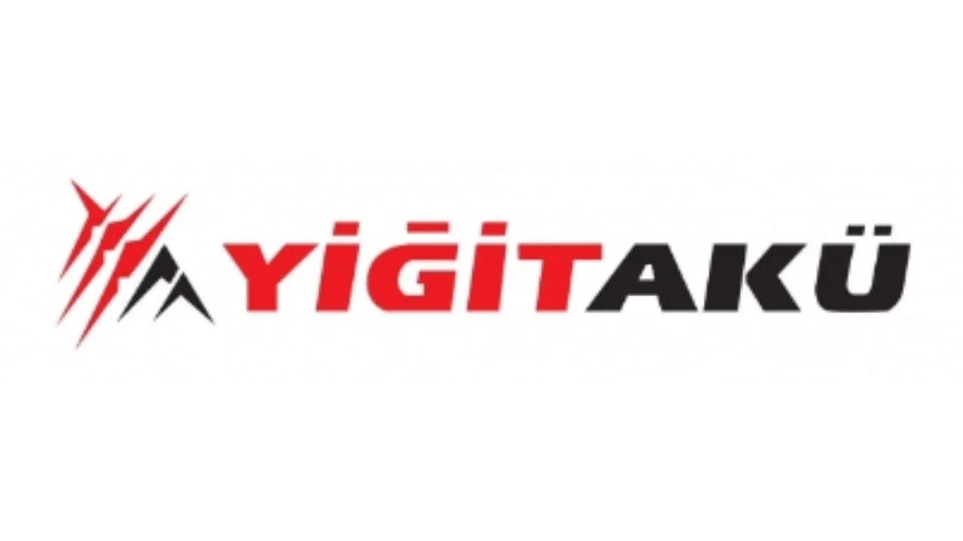 YİĞİT Logo